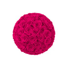 Ball of pink roses on a white background