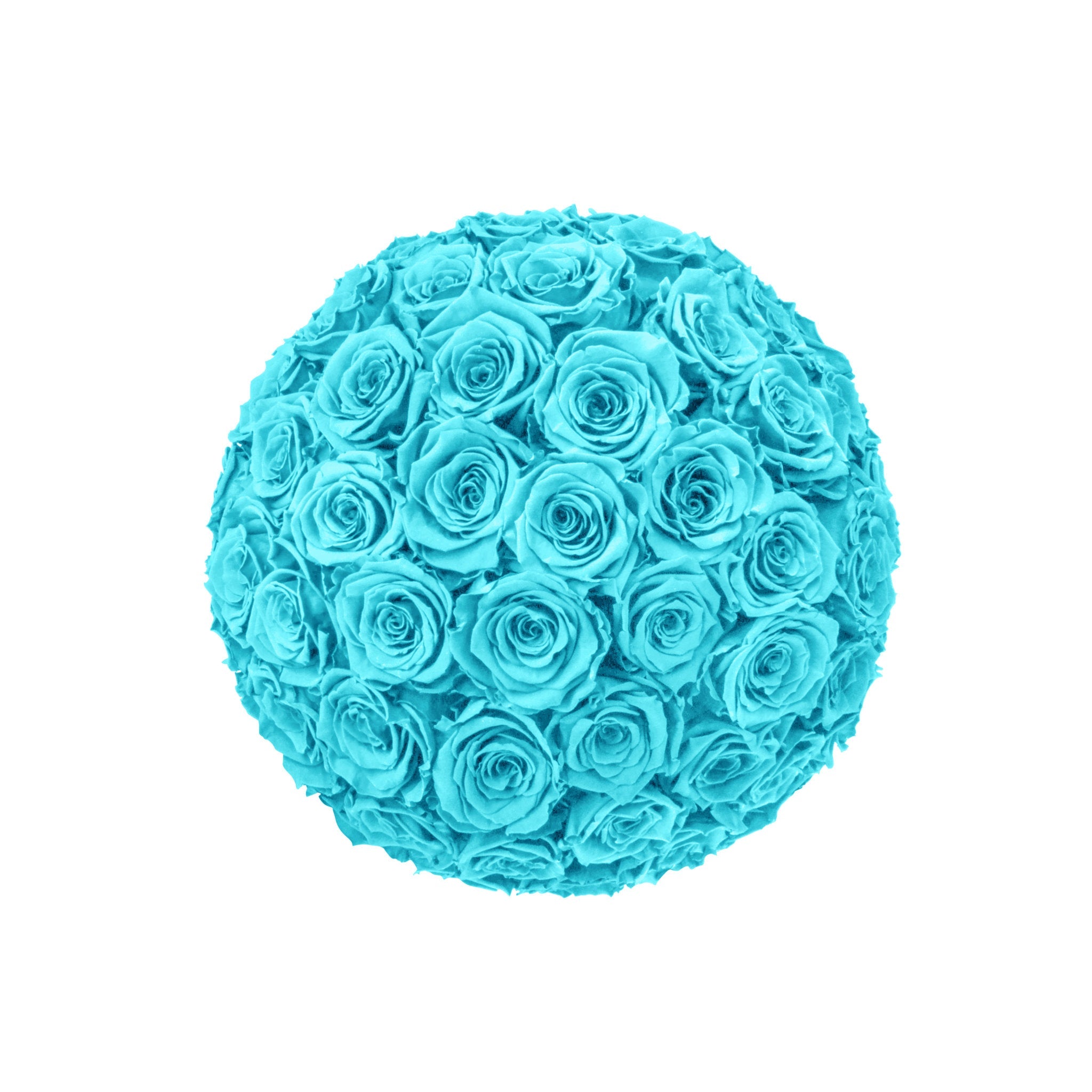 Turquoise rose ball on a white background