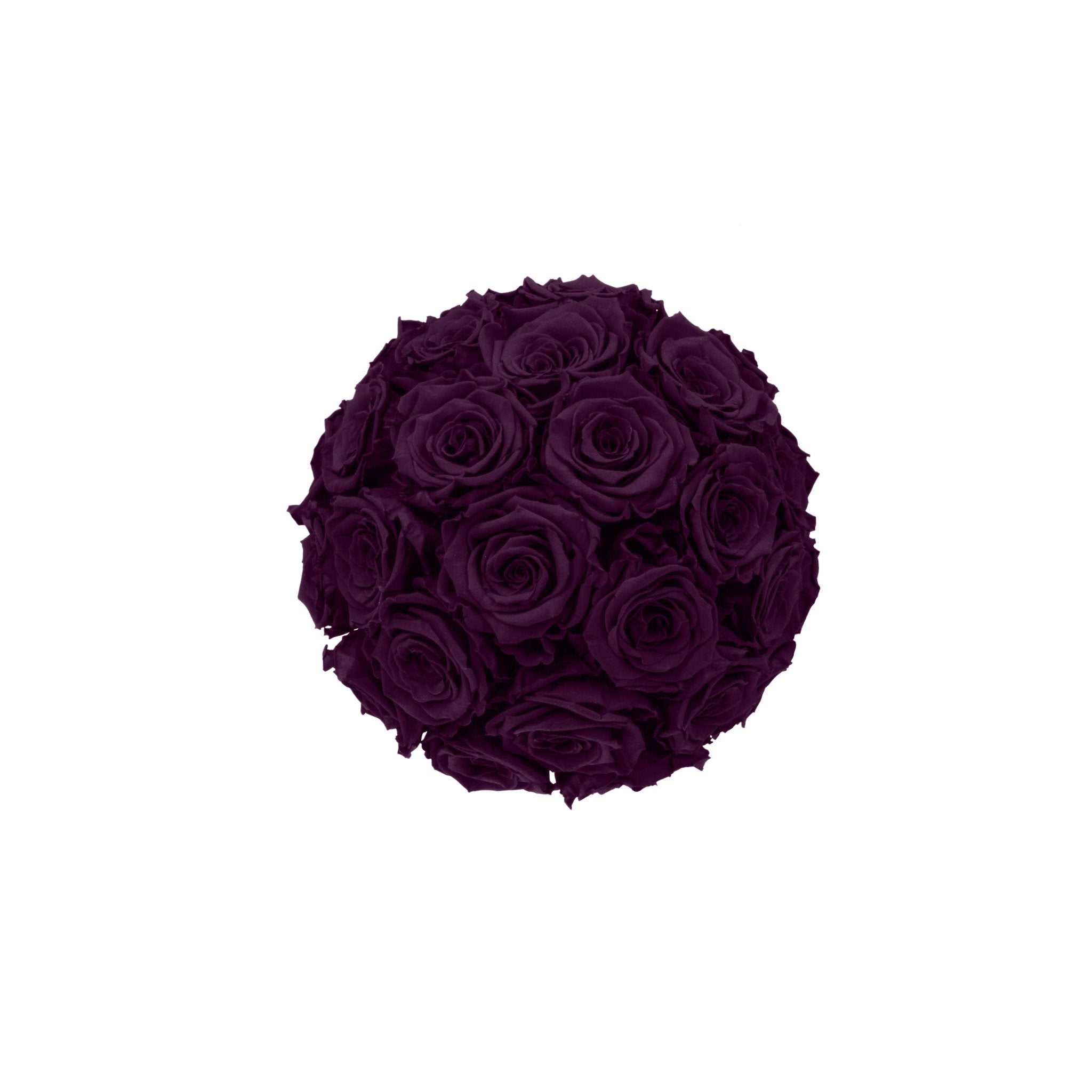 Ball of dark purple roses on a white background
