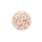 Ball made of pink roses on a white background