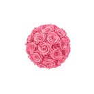 Pink rose ball on a white background