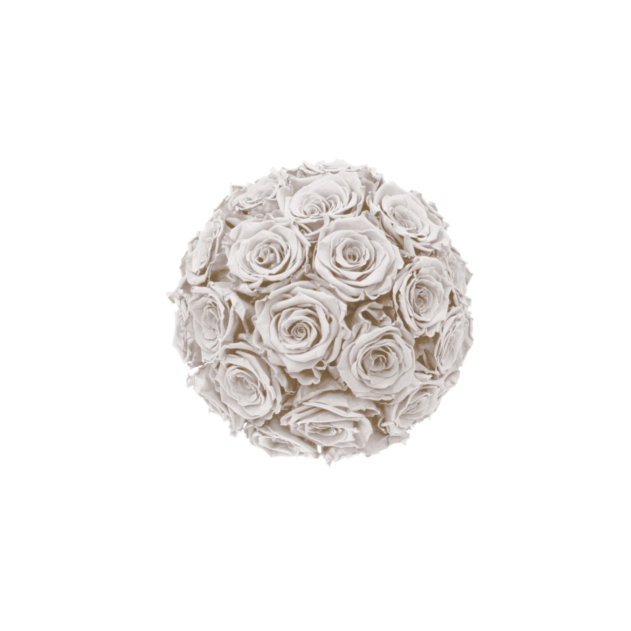 White rose ball on a white background