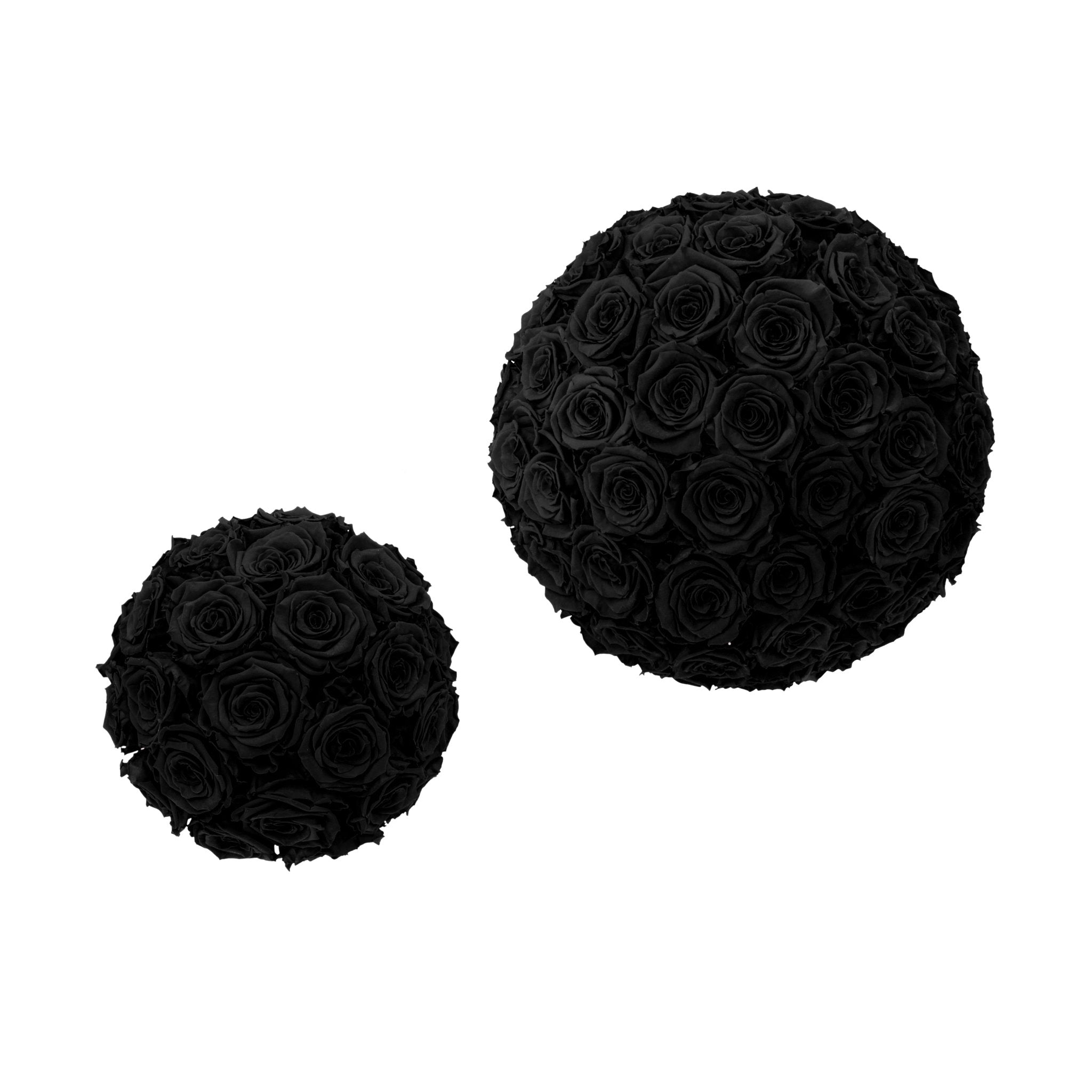 Two black rose balls on a white background