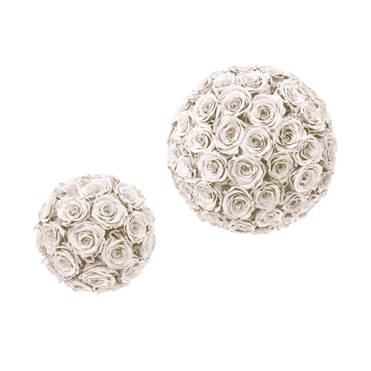 Infinite Rose Sphere - Light Tones | OnlyRoses