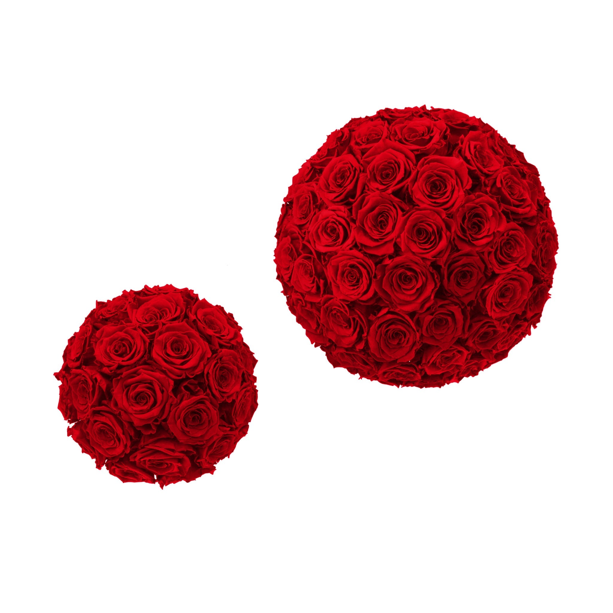 Two spherical arrangements of red roses on a white background