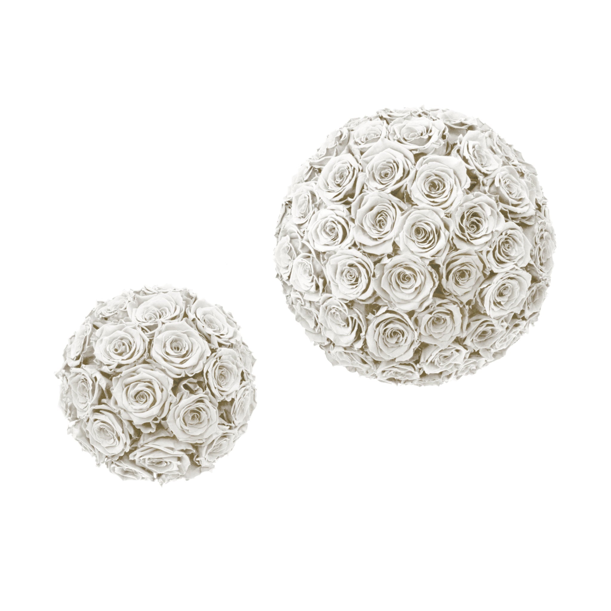 Two decorative spheres made of white roses on a white background