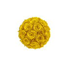 Yellow rose ball on a white background