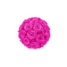 Ball of pink roses on a white background