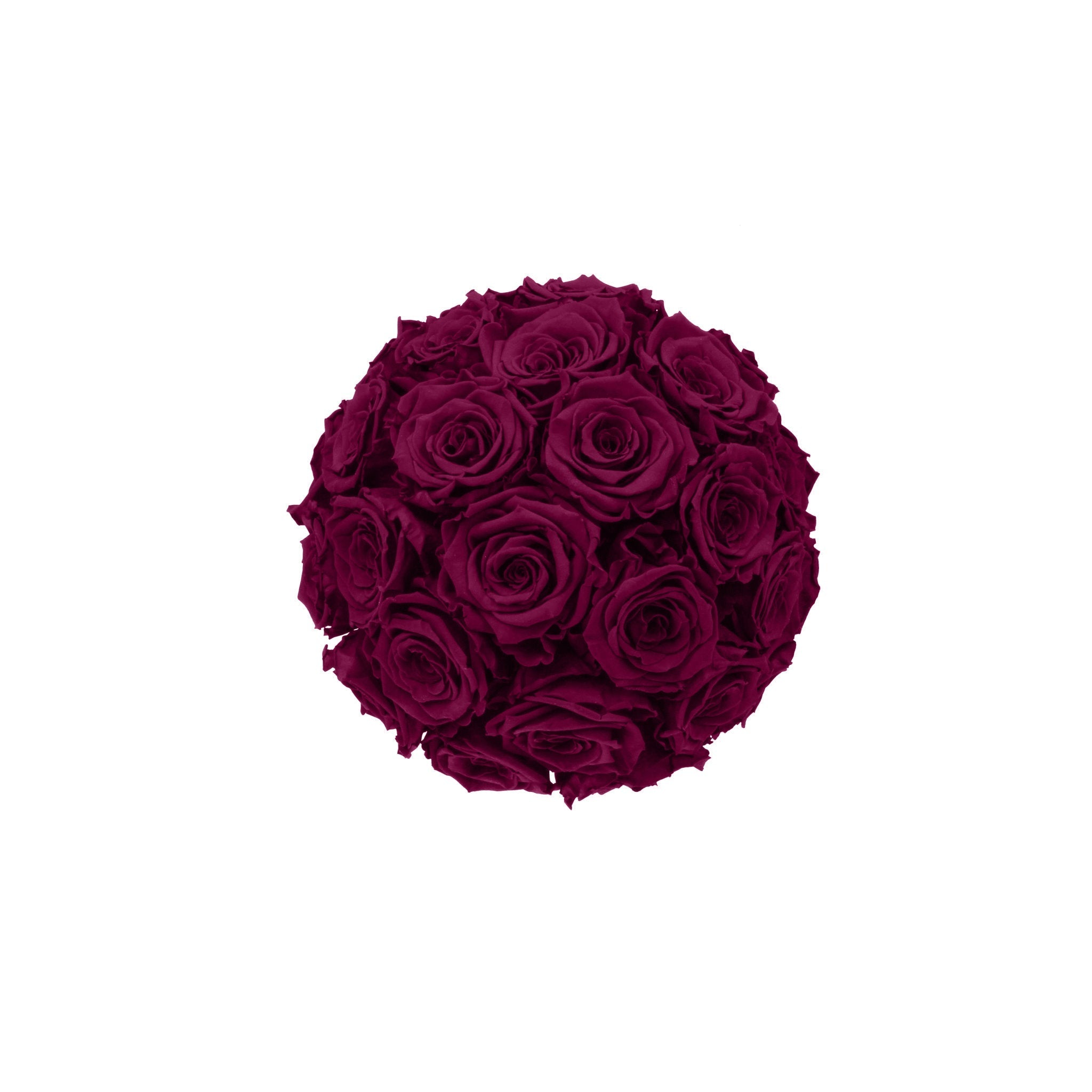 Bouquet of dark red roses on a white background