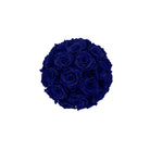 Bouquet of dark blue roses on a white background