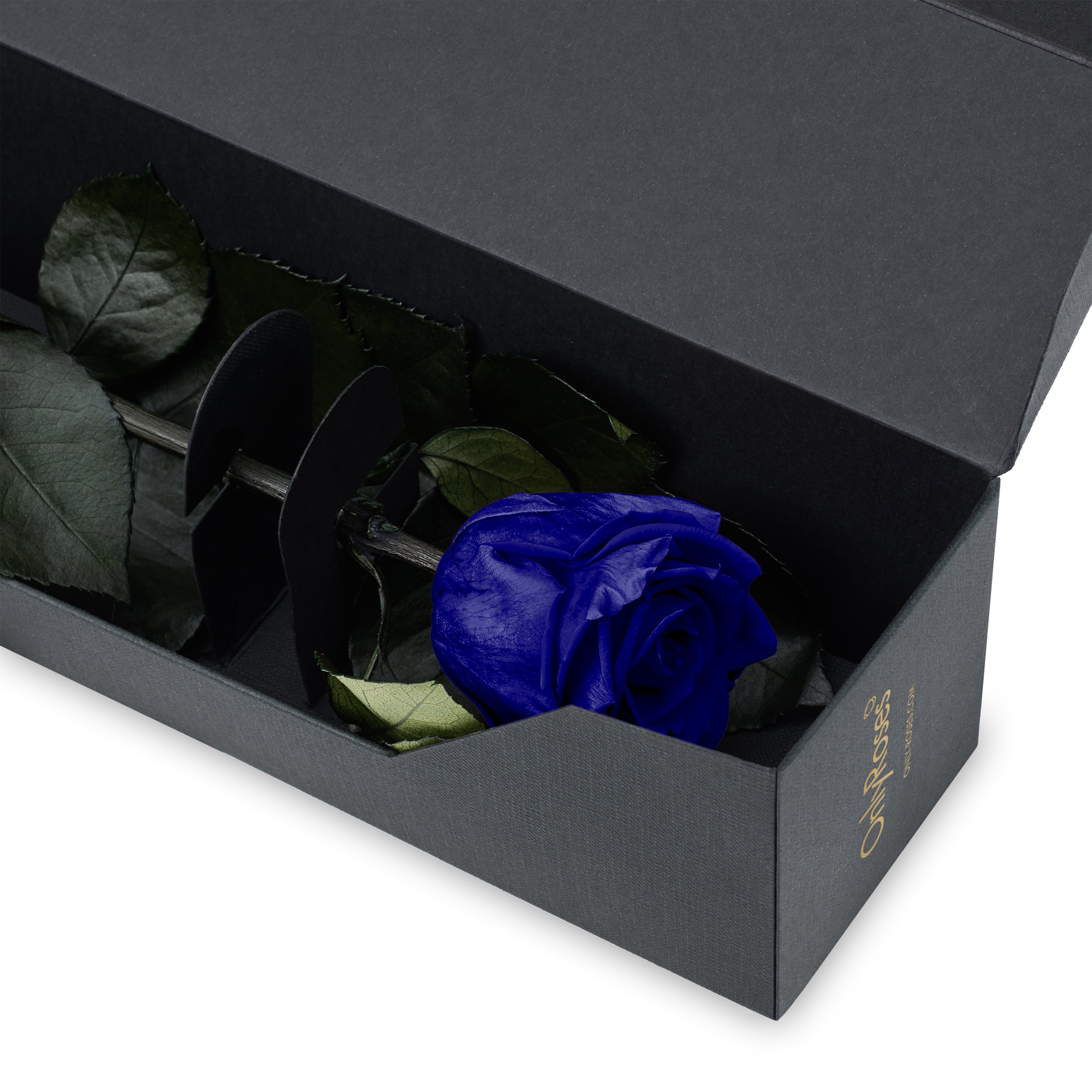 Blue rose in a black box with 'Gardenia' branding.