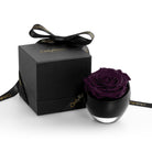 Purple rose in a black container with a matching box on a white background