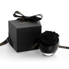 Black rose in a black holder with 'Only Real' branding on a white background