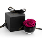 Black box with a pink rose and 'Only Roses' branding on a white background