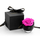Black box with a pink rose and 'Only Roses' branding on a white background