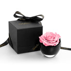 Pink rose in a black container next to a black box with 'Only Roses' branding on a white background