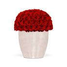White vase filled with red roses on a white background