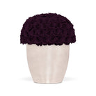 White vase with a large ball of dark purple roses on a white background