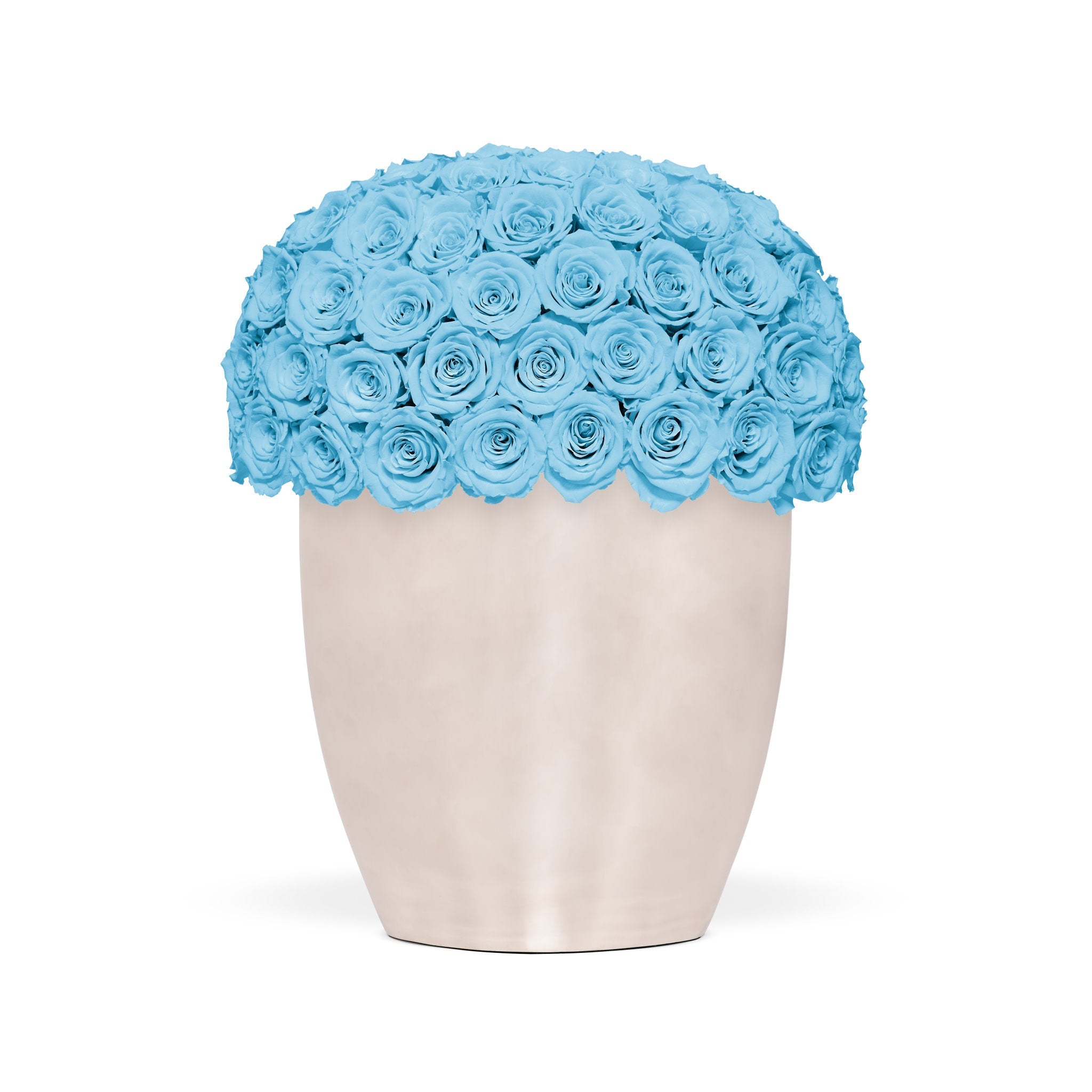 Beige vase with blue roses on a white background