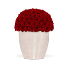 White vase filled with red roses on a white background