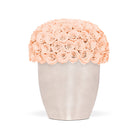 Vase filled with peach-colored roses on a white background
