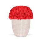 White vase filled with red roses on a white background