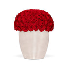 White vase filled with red roses on a white background