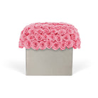 Pink rose box on a white background