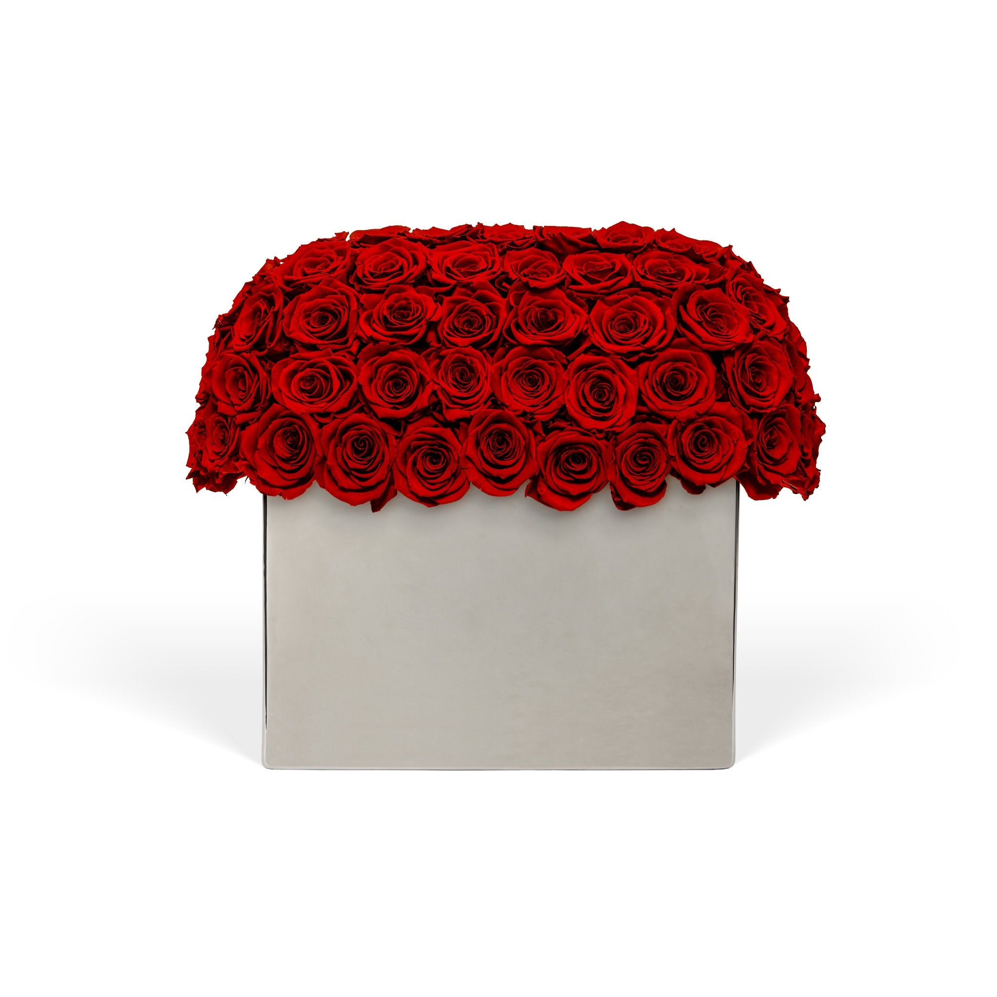 Rectangular box filled with red roses on a white background