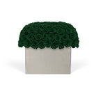 Square box with green roses on a white background