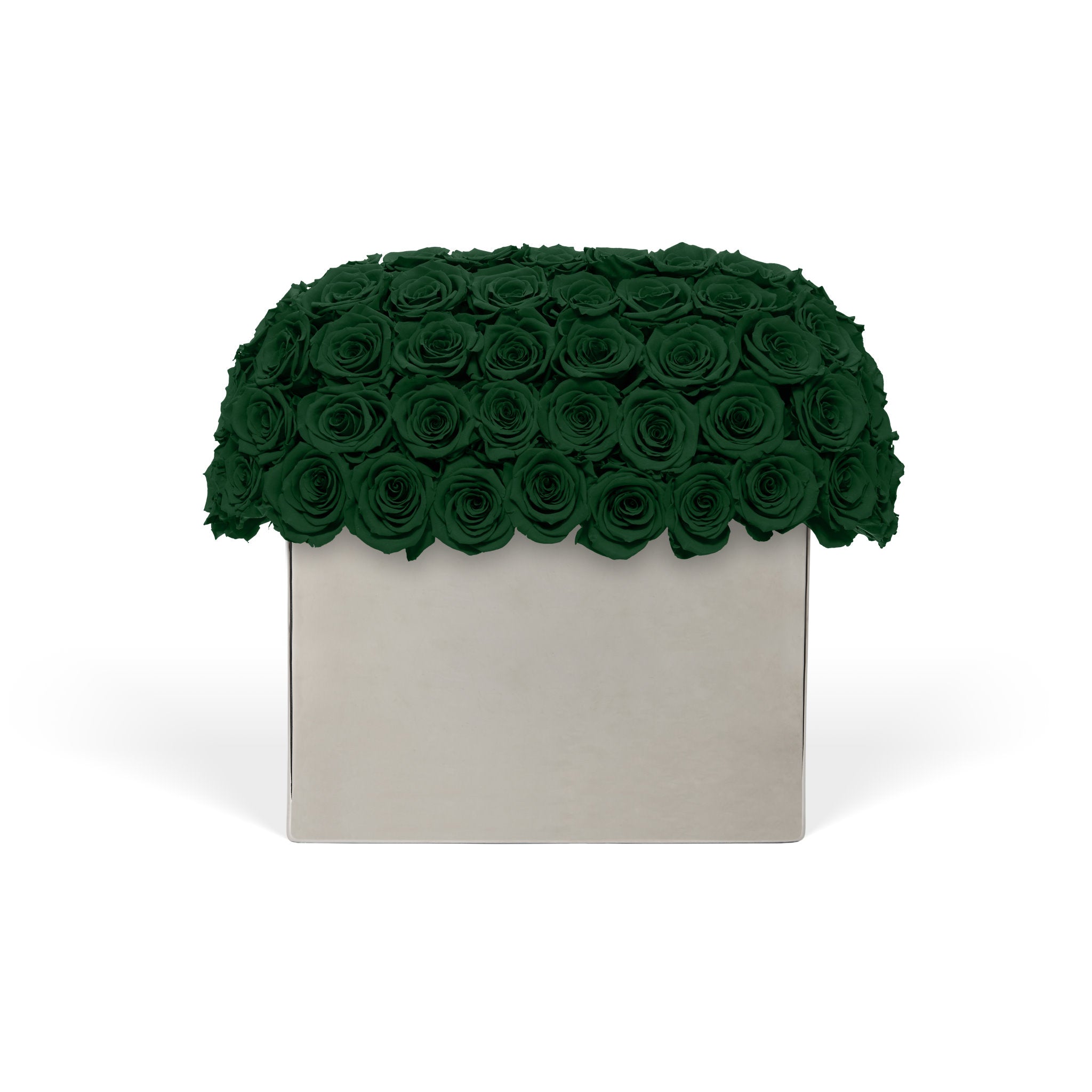 Square box with green roses on a white background