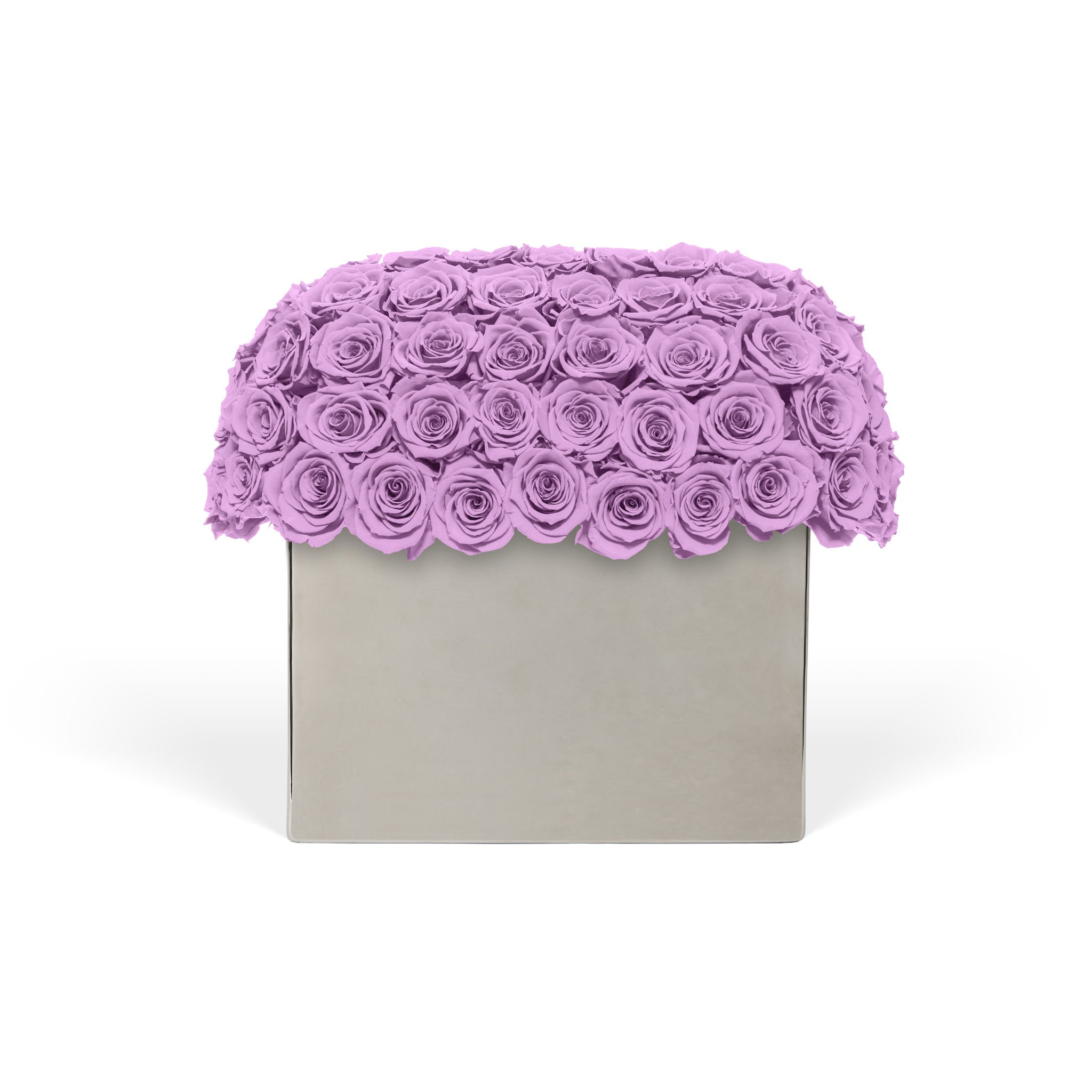 Decorative box with a scalloped edge made of purple roses on a white background