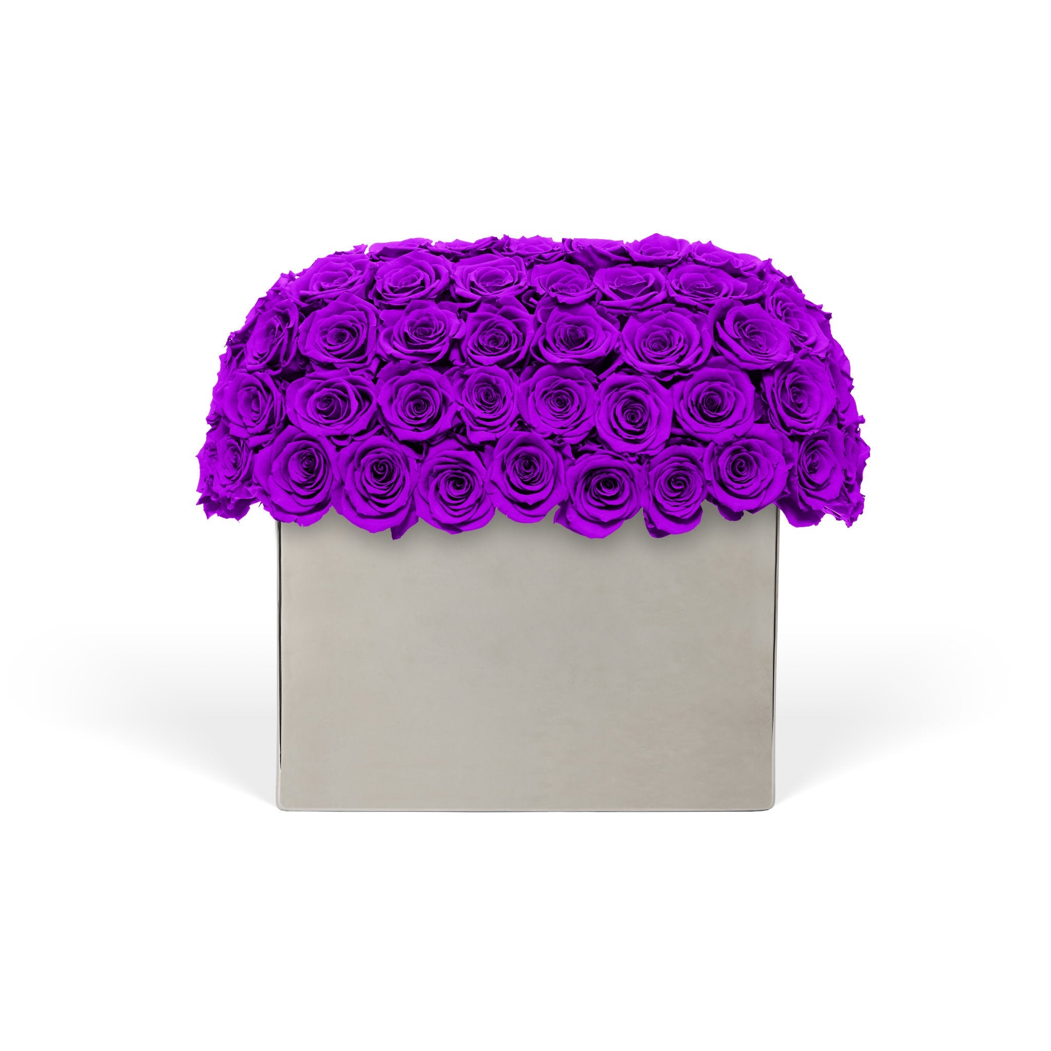 Square gray box with a lid made of purple roses on a white background