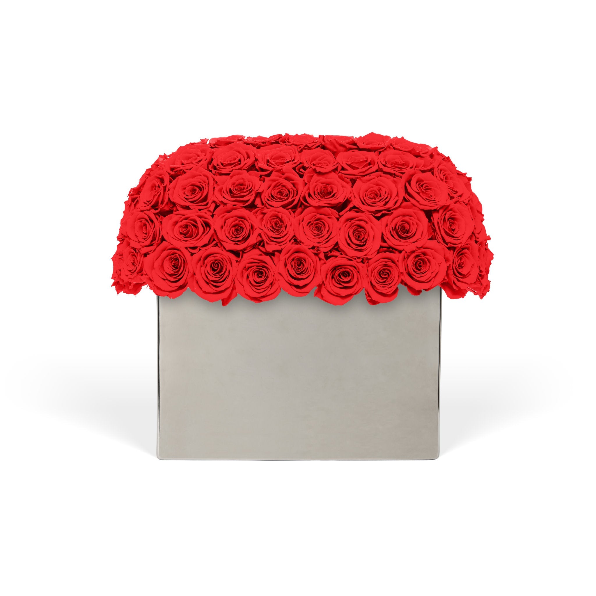 Rectangular box filled with red roses on a white background