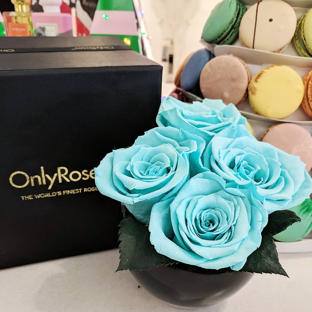 Bouquet of blue roses with a black 'Only Roses' box and macarons in the background.