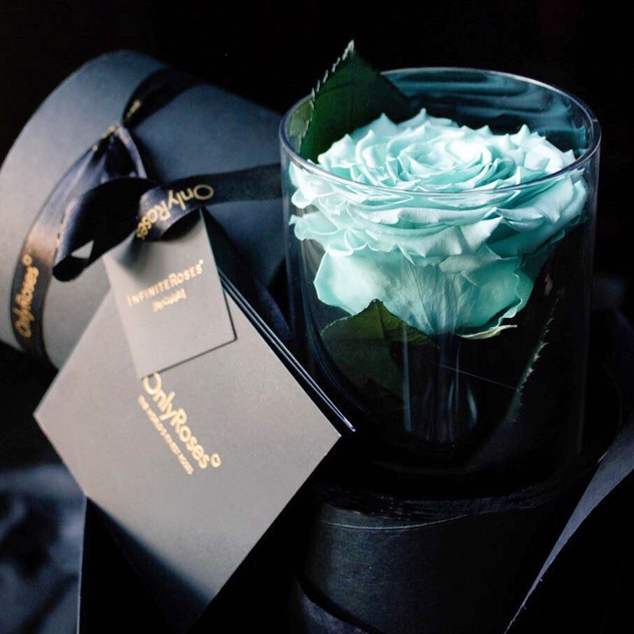 Turquoise rose in a transparent vase with a black box labeled 'Only Roses' on a dark background