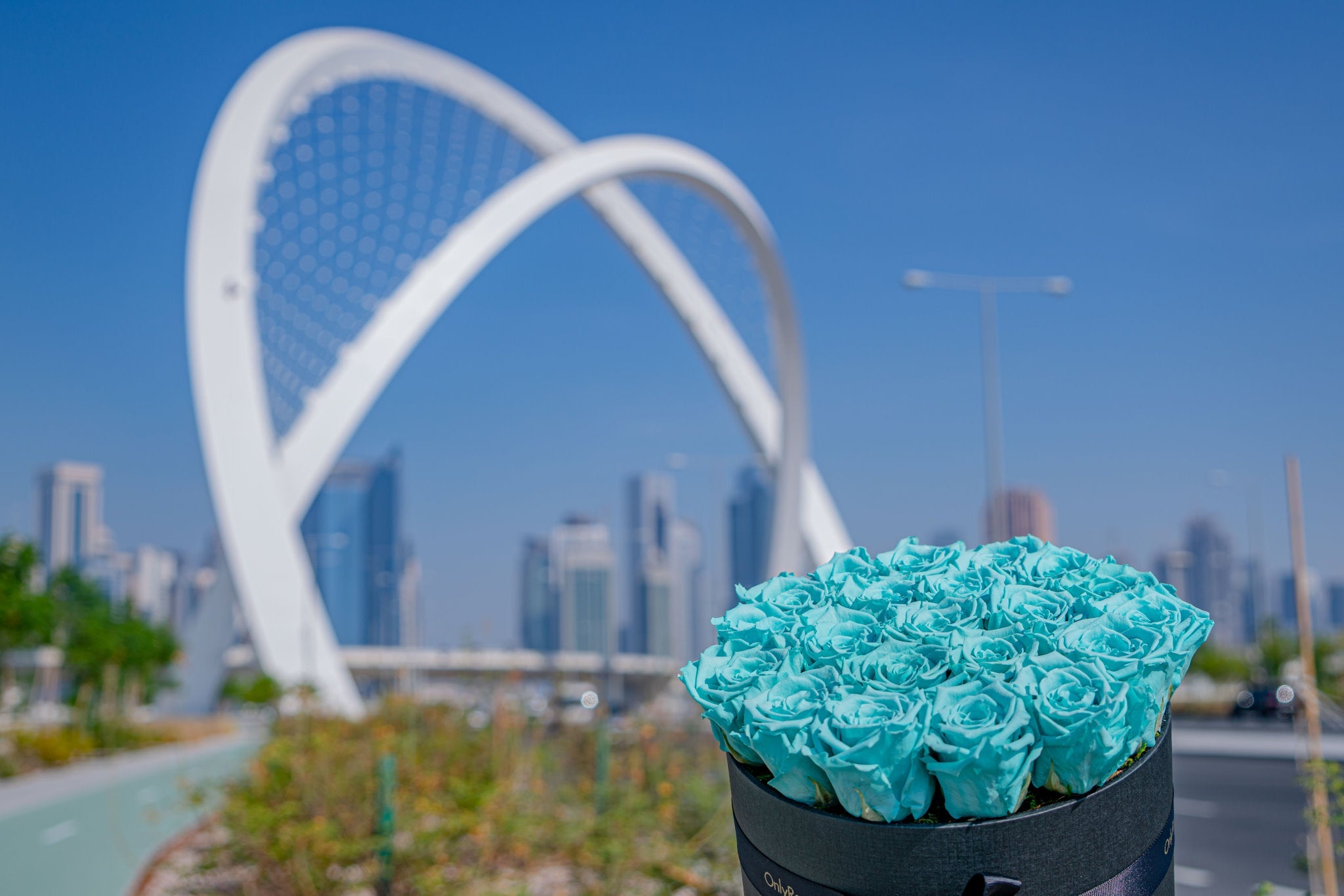 Bouquet of blue roses in a black box with a city skyline and a large white arch in the background.