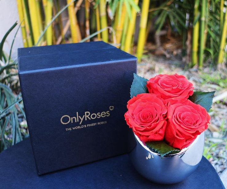 InfiniteRose Fortune Arrangement in a Box