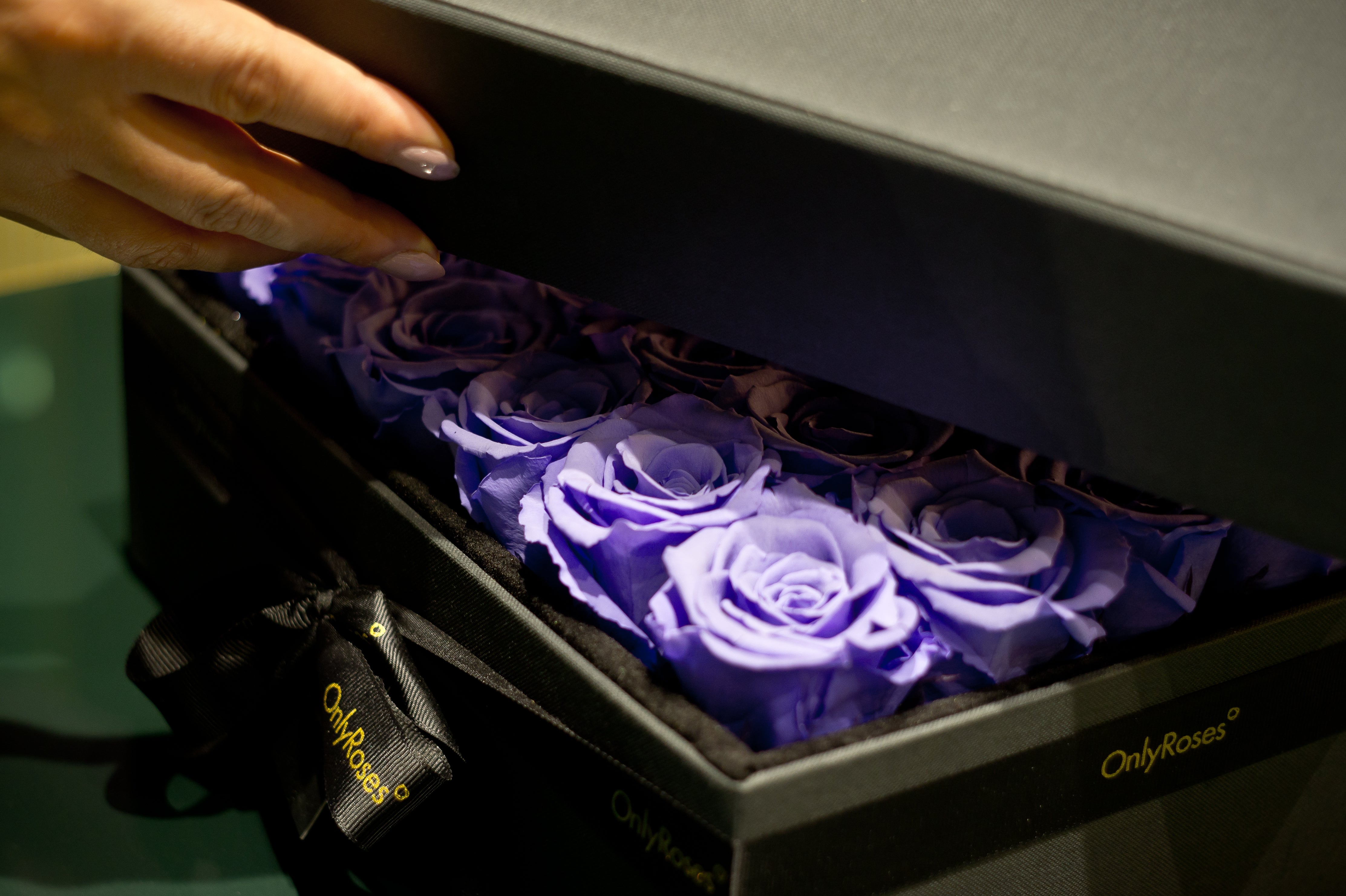 Purple roses in a black box with 'Only Roses' branding.