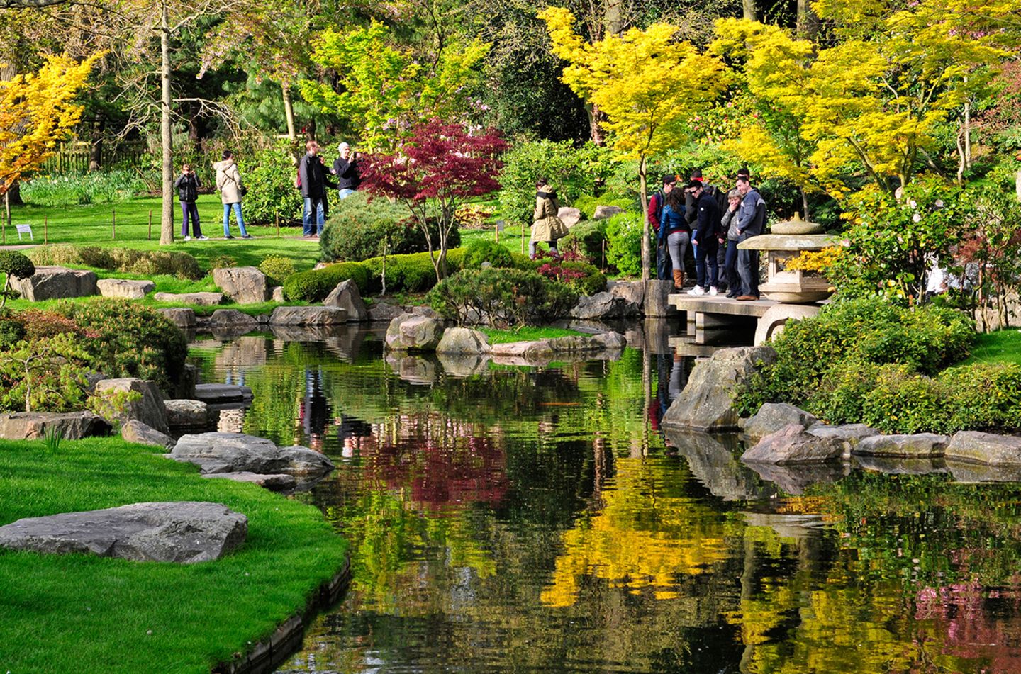 People walking around a pond in a garden with trees and rocks.