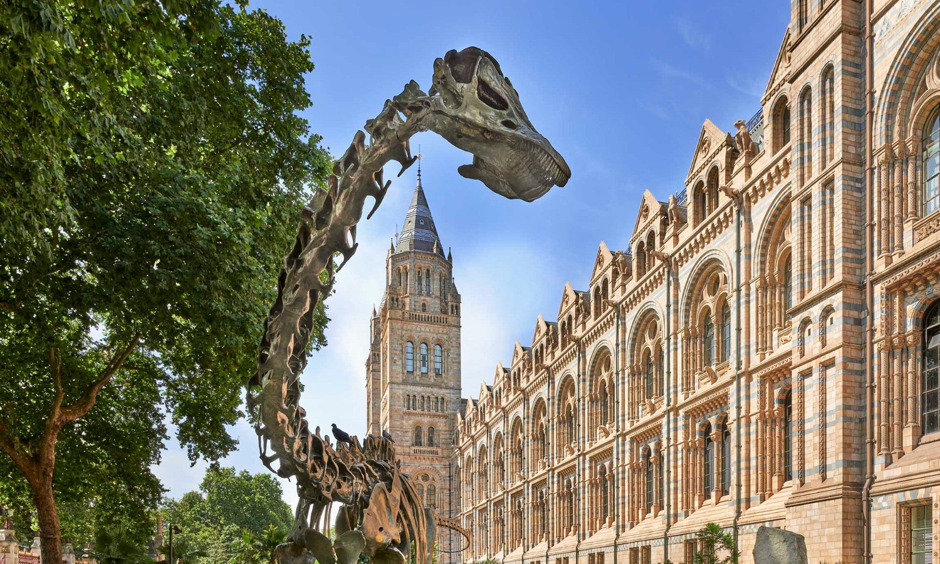 Dinosaur skeleton model in front of a large brick building with a clock tower.