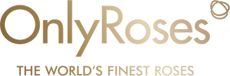 OnlyRoses - UK