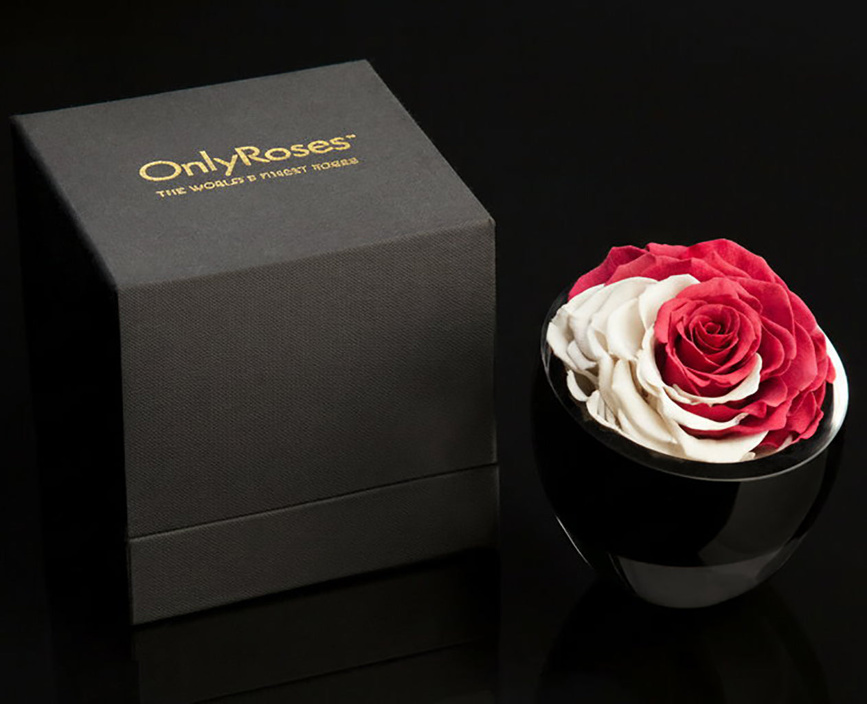Black box with 'Only Roses' branding next to a cup with red and white roses on a dark background