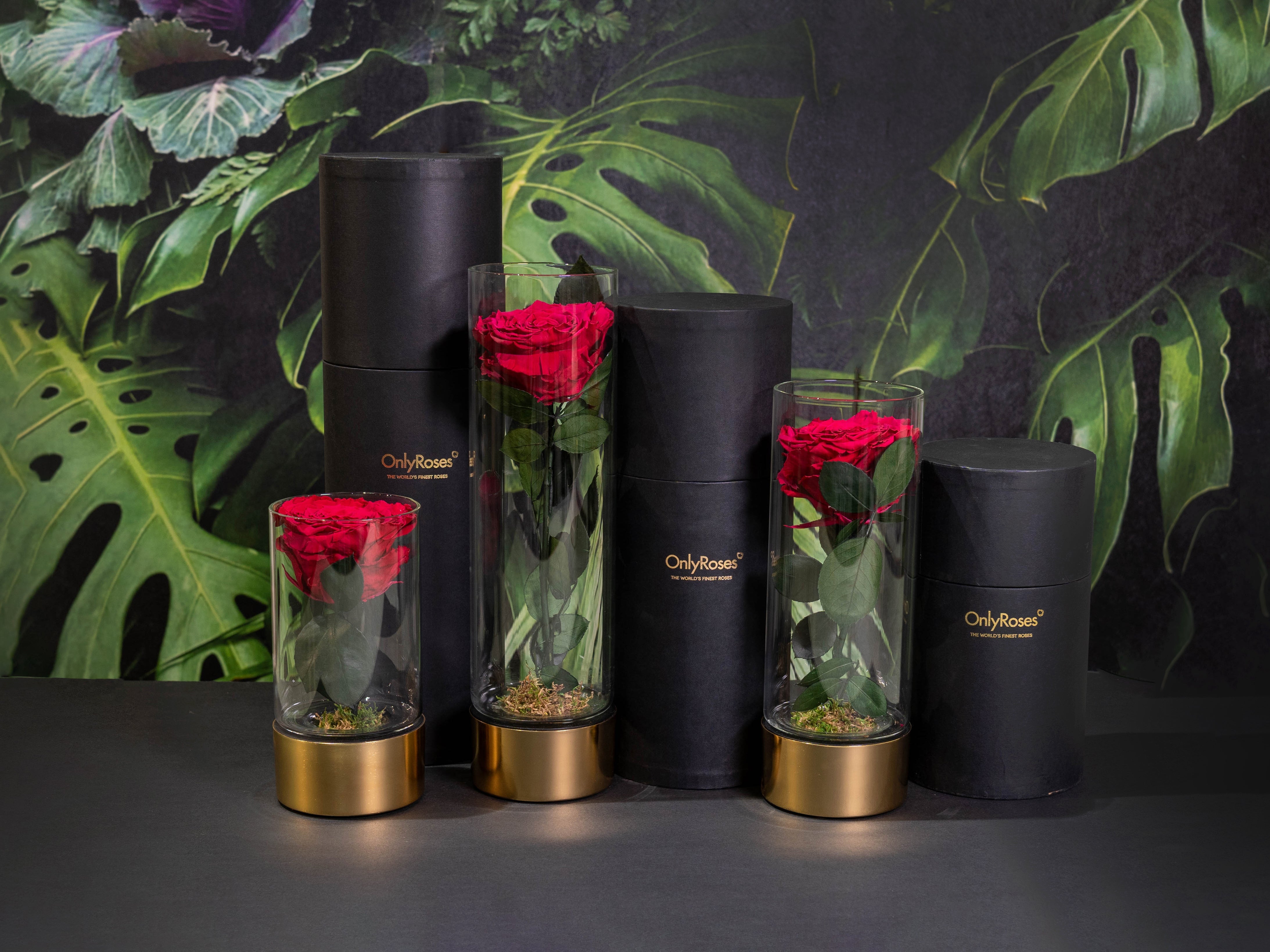 Decorative vases with red roses against a dark background with green leaves
